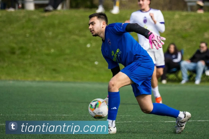 星空平台生态图